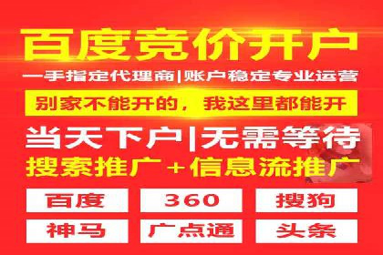 行业案例分析：sem账户托管的成功与挑战